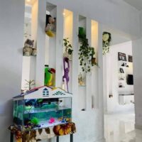 FB_IMG_1631949877998